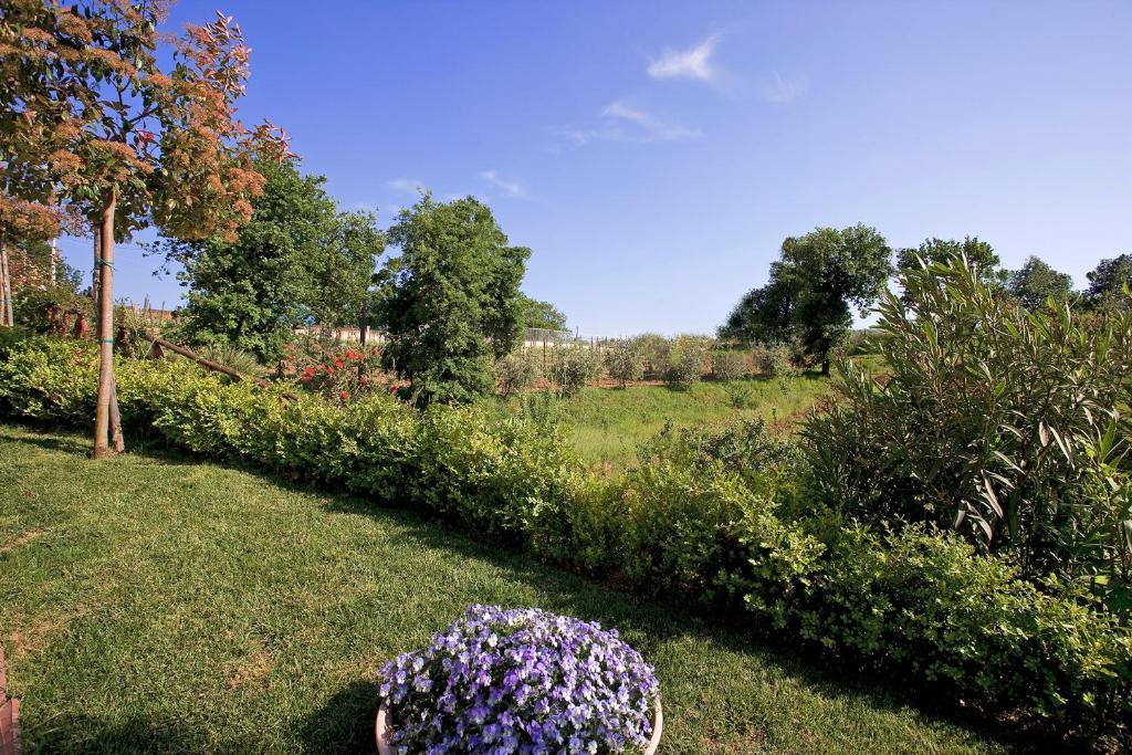 Tenuta D'Amore San Mango Piemonte Esterno foto