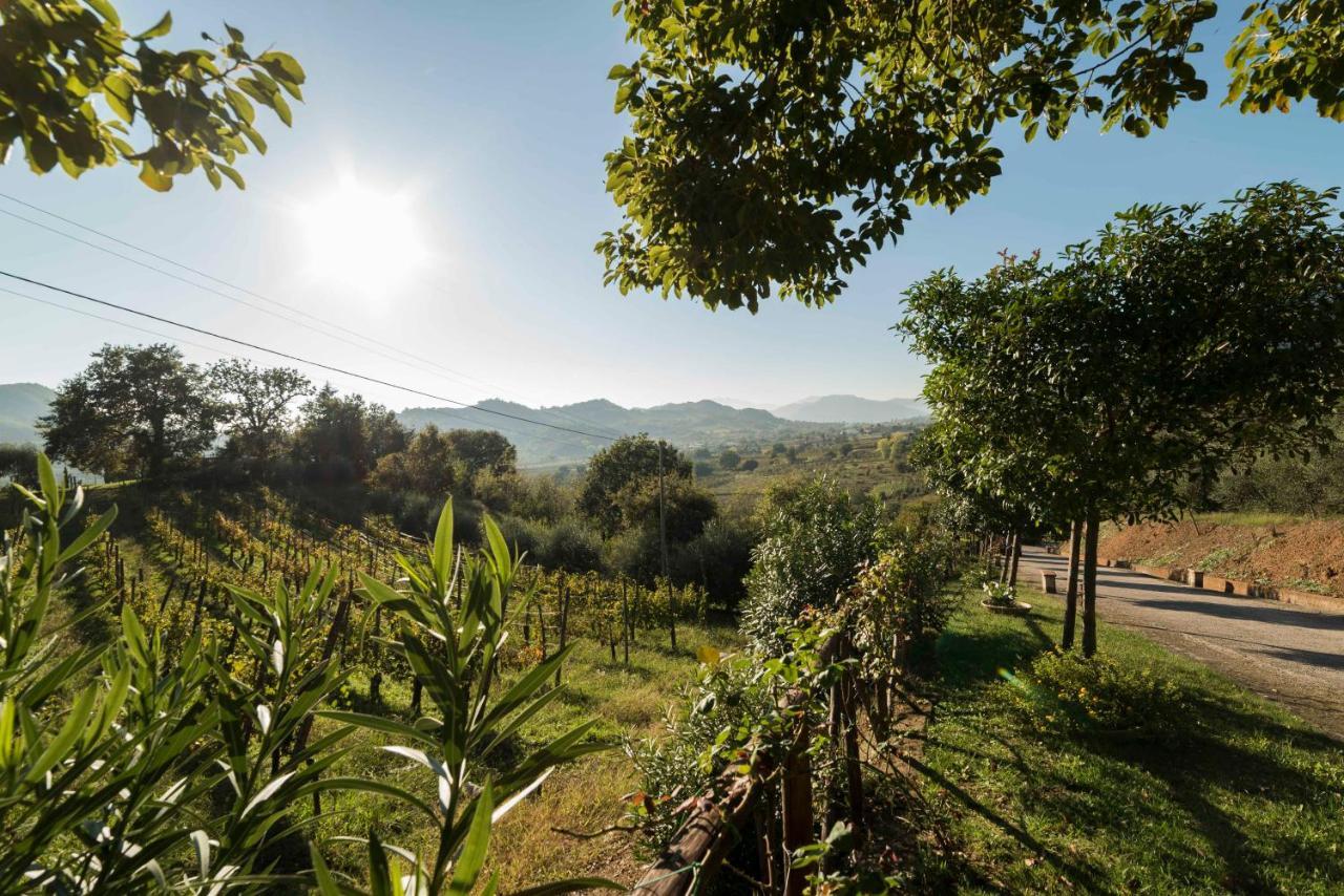 Tenuta D'Amore San Mango Piemonte Esterno foto
