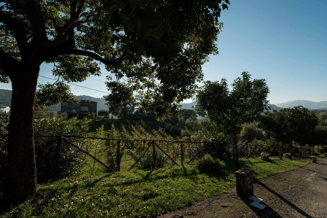 Tenuta D'Amore San Mango Piemonte Esterno foto