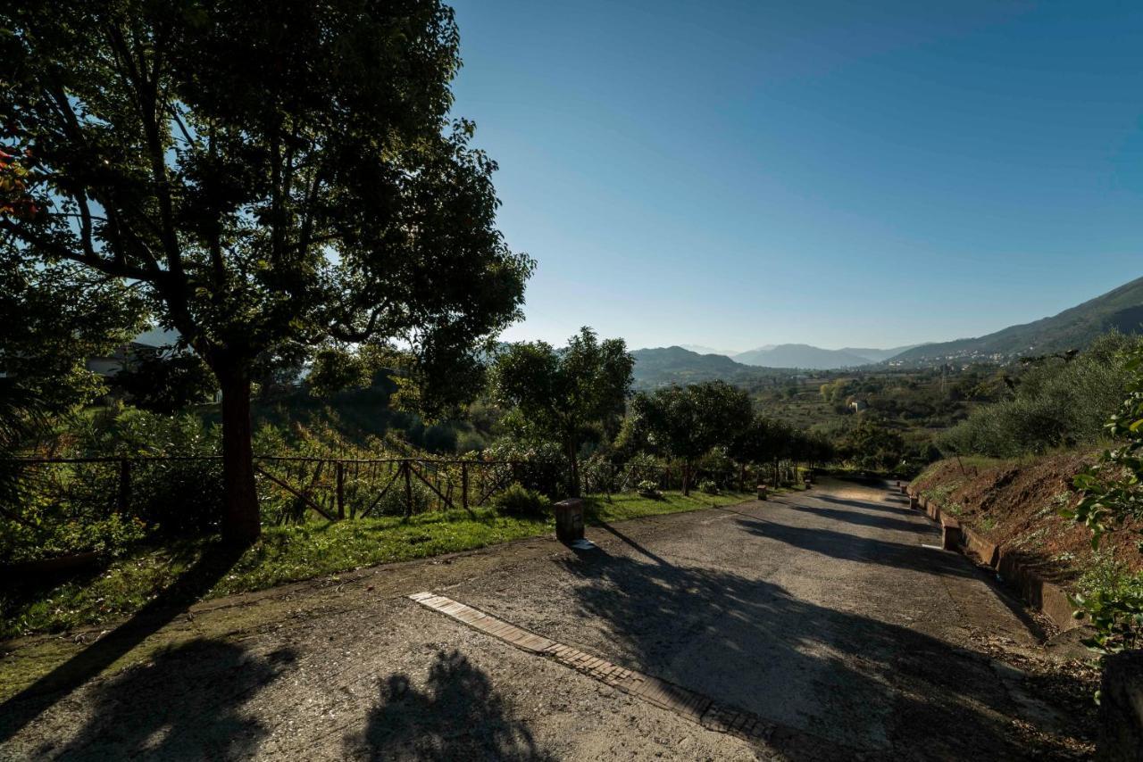 Tenuta D'Amore San Mango Piemonte Esterno foto